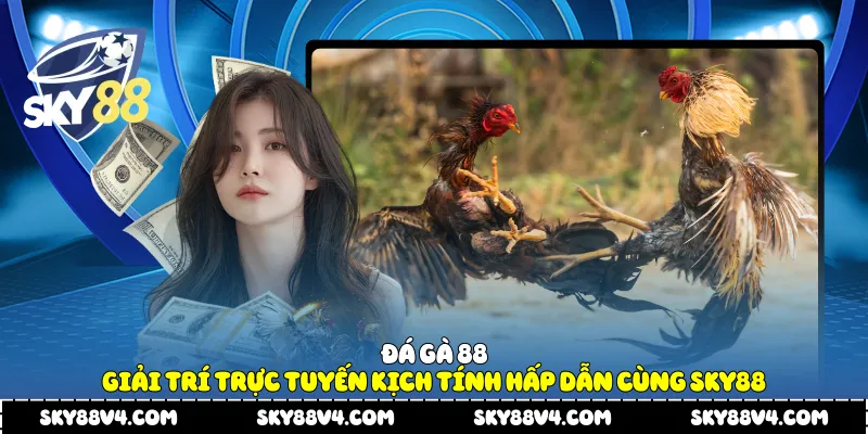 Đá gà 88
