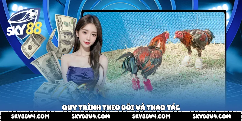 Quy trình theo dõi và thao tác