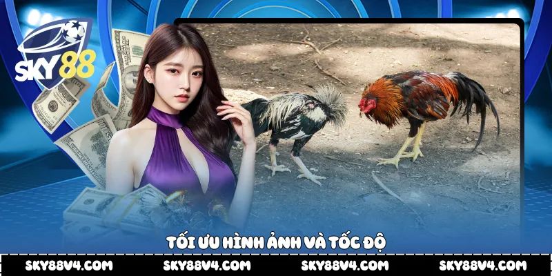 Tối ưu hình ảnh và tốc độ 